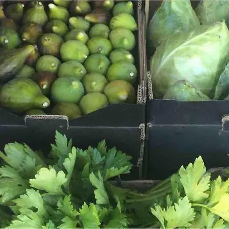 Good Sucess - Bom Sucesso Soure