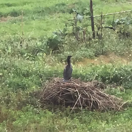 Σπίτι διακοπών Good Sucess - Bom Sucesso *