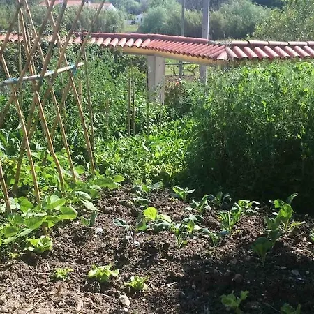 Good Sucess - Bom Sucesso Soure