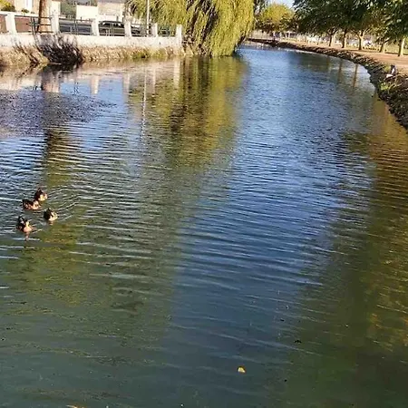 Good Sucess - Bom Sucesso *