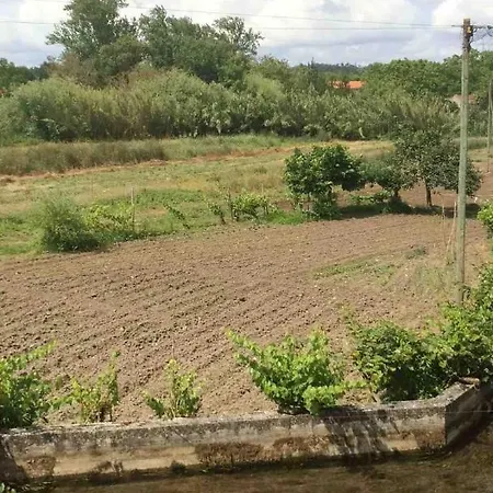 Good Sucess - Bom Sucesso Soure