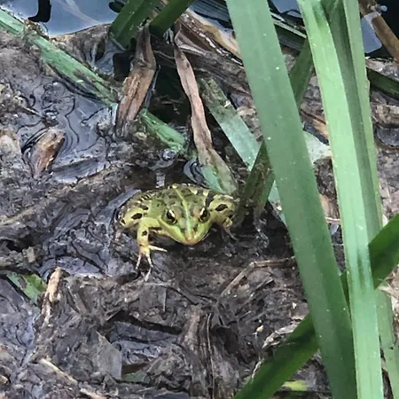 Σπίτι διακοπών Good Sucess - Bom Sucesso Soure