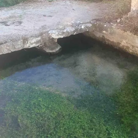 Good Sucess - Bom Sucesso * Soure