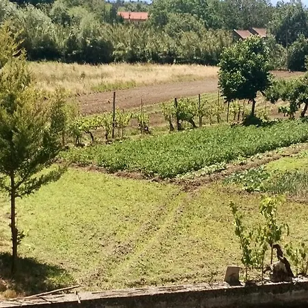 Σπίτι διακοπών Good Sucess - Bom Sucesso