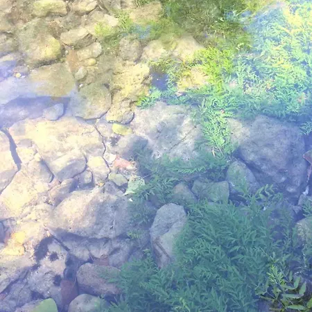 Good Sucess - Bom Sucesso Σπίτι διακοπών Soure