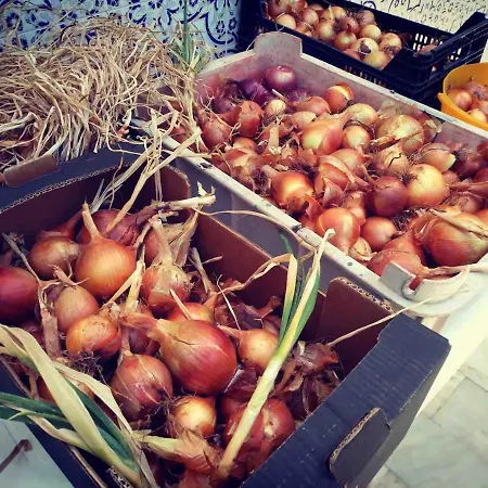 Σπίτι διακοπών Good Sucess - Bom Sucesso