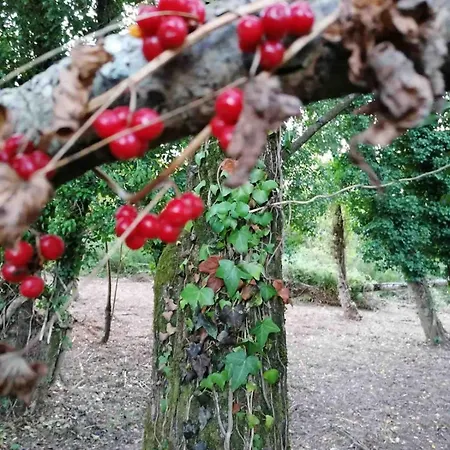 Good Sucess - Bom Sucesso Σπίτι διακοπών