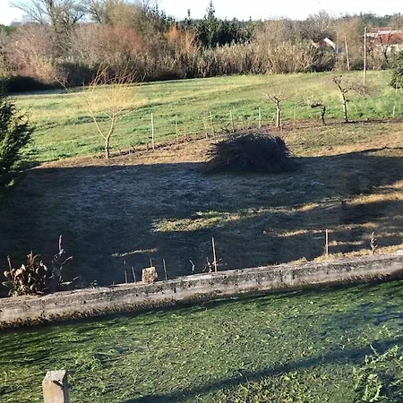 Good Sucess - Bom Sucesso