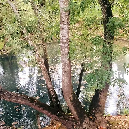 Good Sucess - Bom Sucesso Soure