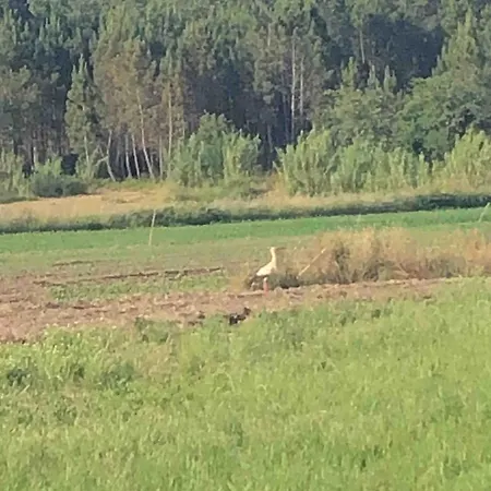 Σπίτι διακοπών Good Sucess - Bom Sucesso *