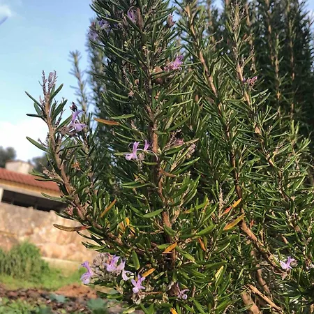 Good Sucess - Bom Sucesso Σπίτι διακοπών *