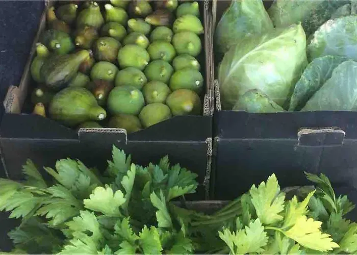 Good Sucess - Bom Sucesso Soure