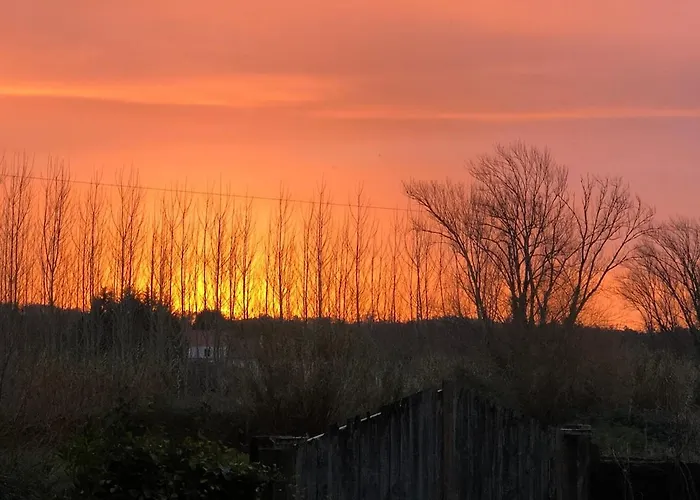 Good Sucess - Bom Sucesso