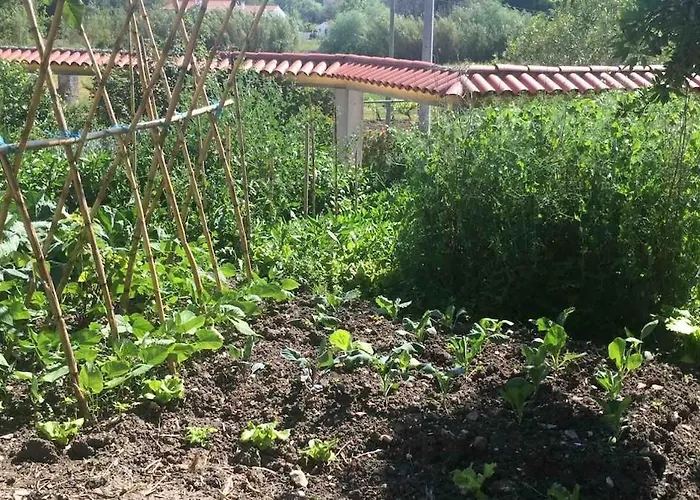 Good Sucess - Bom Sucesso Soure