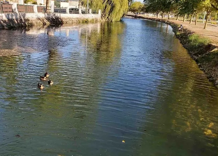 Good Sucess - Bom Sucesso *