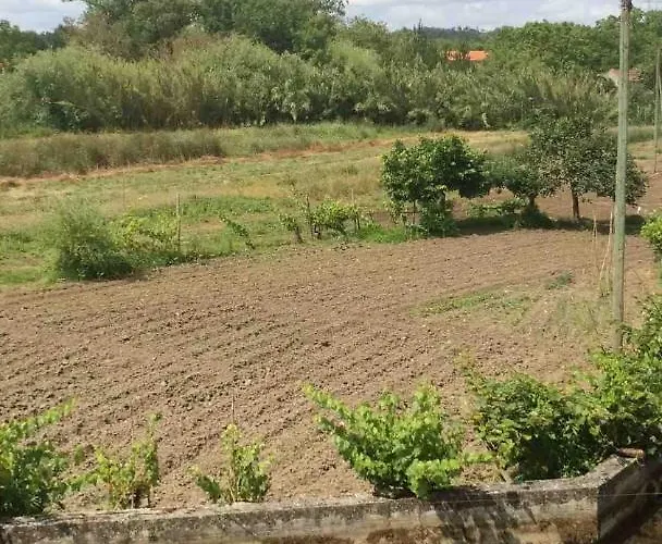 Good Sucess - Bom Sucesso Soure