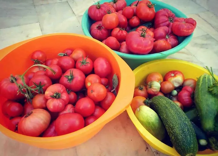 Good Sucess - Bom Sucesso Vakantiehuis *