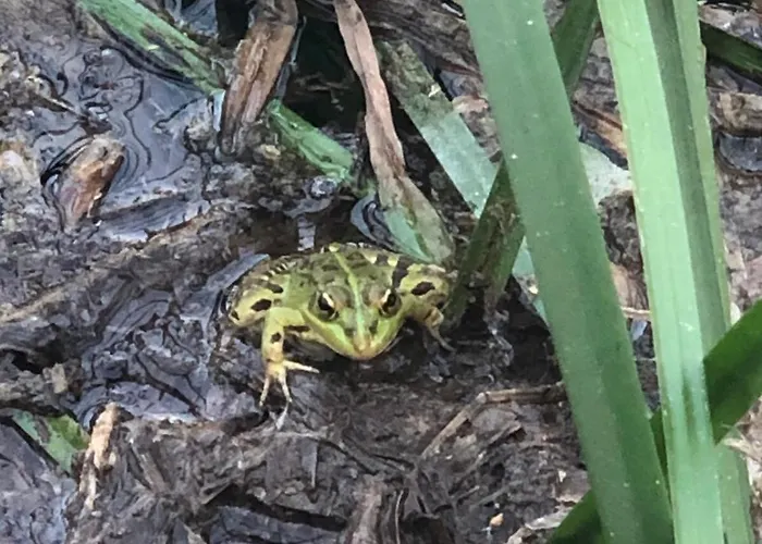 Vakantiehuis Good Sucess - Bom Sucesso Soure