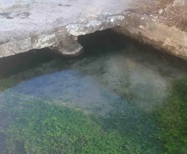 Good Sucess - Bom Sucesso * Soure