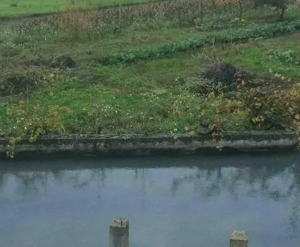 Good Sucess - Bom Sucesso * Soure