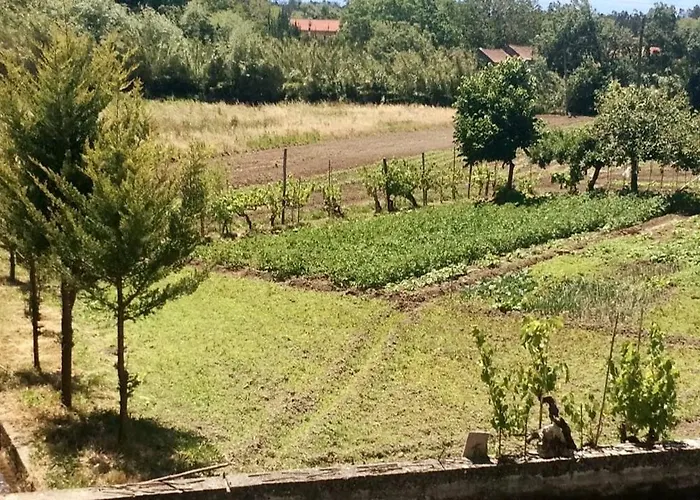 Vakantiehuis Good Sucess - Bom Sucesso