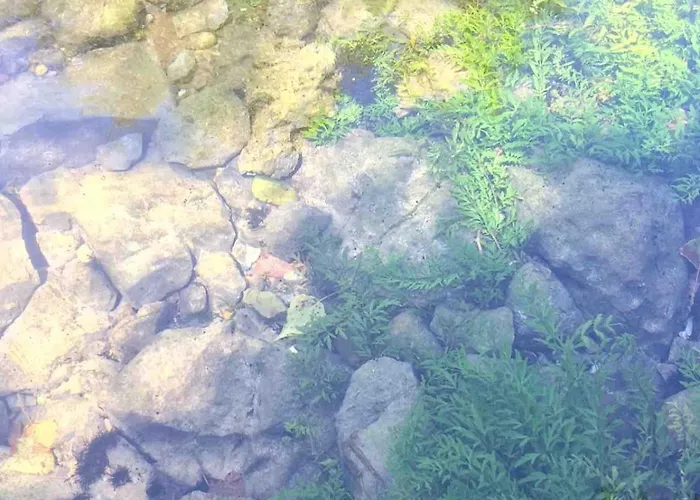 Good Sucess - Bom Sucesso Vakantiehuis Soure