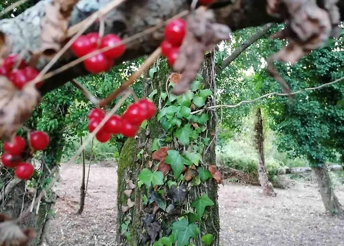 Good Sucess - Bom Sucesso Vakantiehuis