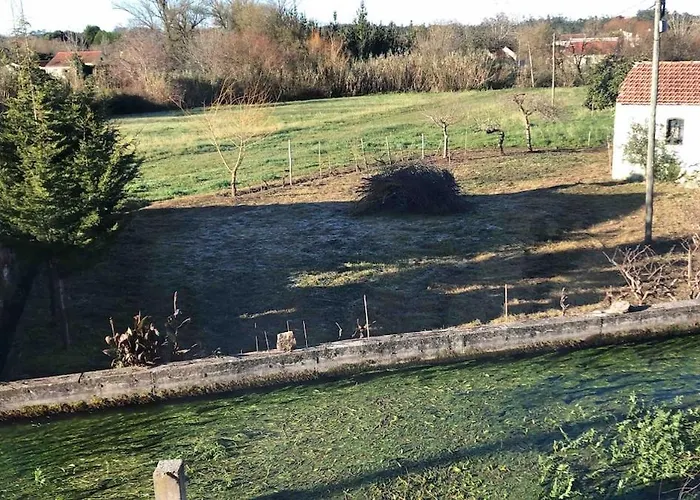 Good Sucess - Bom Sucesso