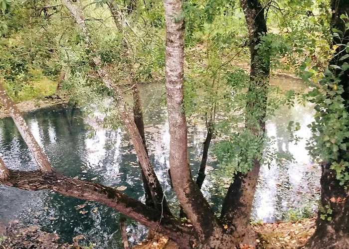 Good Sucess - Bom Sucesso Soure