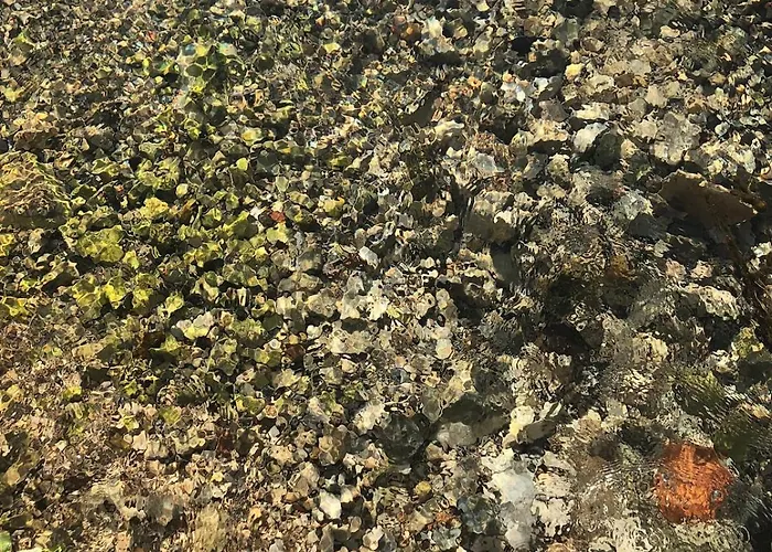 Good Sucess - Bom Sucesso Vakantiehuis *