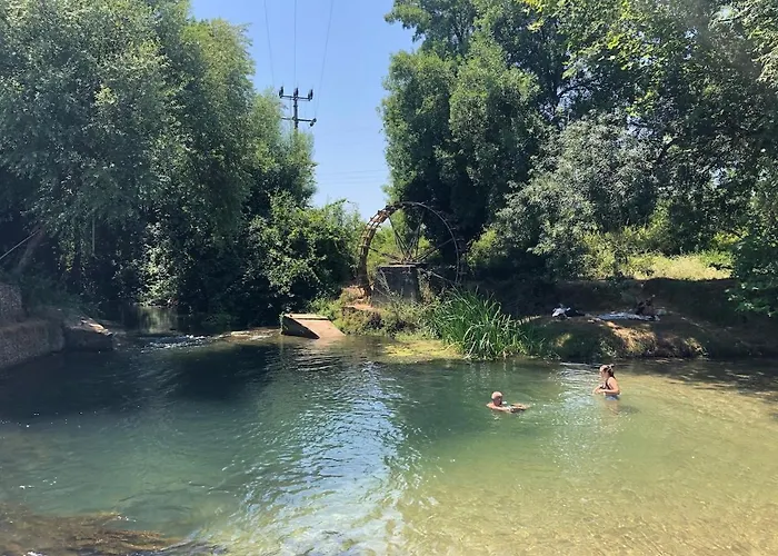 Good Sucess - Bom Sucesso * Soure