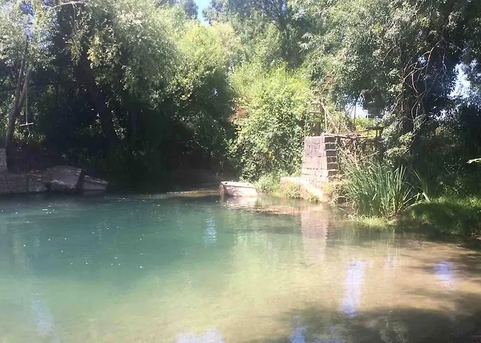 Good Sucess - Bom Sucesso