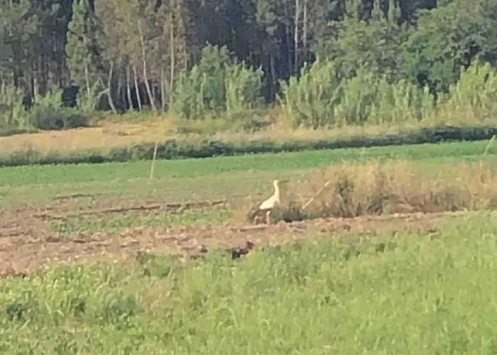 Vakantiehuis Good Sucess - Bom Sucesso *