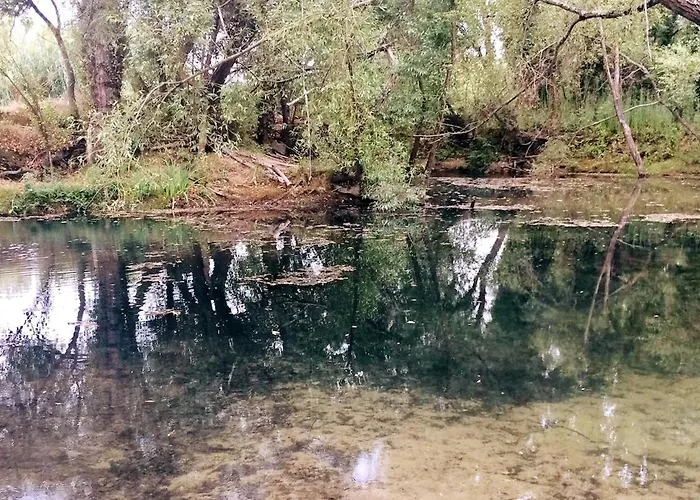 Good Sucess - Bom Sucesso *