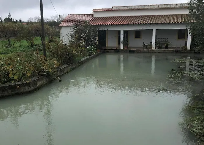 Good Sucess - Bom Sucesso * Soure